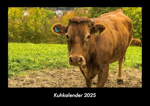 Kuhkalender 2025 Fotokalender DIN A3: Monatskalender mit Bild-Motiven von Haustieren, Bauernhof, wilden Tieren und Raubtieren Kuhkalender 2025 Fotokalender DIN A3: Monatskalender mit Bild-Motiven von Haustieren, Bauernhof, wilden Tieren und Raubtieren