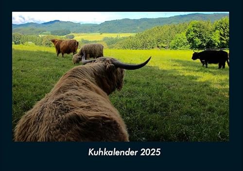 Kuhkalender 2025 Fotokalender DIN A4: Monatskalender mit Bild-Motiven von Haustieren, Bauernhof, wilden Tieren und Raubtieren Kuhkalender 2025 Fotokalender DIN A4: Monatskalender mit Bild-Motiven von Haustieren, Bauernhof, wilden Tieren und Raubtieren