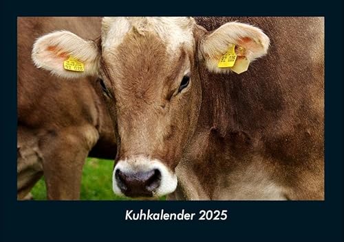 Kuhkalender 2025 Fotokalender DIN A4: Monatskalender mit Bild-Motiven von Haustieren, Bauernhof, wilden Tieren und Raubtieren Kuhkalender 2025 Fotokalender DIN A4: Monatskalender mit Bild-Motiven von Haustieren, Bauernhof, wilden Tieren und Raubtieren
