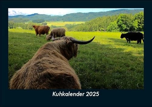 Kuhkalender 2025 Fotokalender DIN A5: Monatskalender mit Bild-Motiven von Haustieren, Bauernhof, wilden Tieren und Raubtieren Kuhkalender 2025 Fotokalender DIN A5: Monatskalender mit Bild-Motiven von Haustieren, Bauernhof, wilden Tieren und Raubtieren
