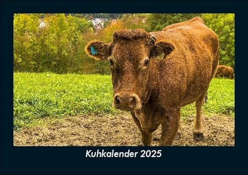Kuhkalender 2025 Fotokalender DIN A5: Monatskalender mit Bild-Motiven von Haustieren, Bauernhof, wilden Tieren und Raubtieren Kuhkalender 2025 Fotokalender DIN A5: Monatskalender mit Bild-Motiven von Haustieren, Bauernhof, wilden Tieren und Raubtieren