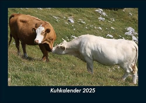 Kuhkalender 2025 Fotokalender DIN A5: Monatskalender mit Bild-Motiven von Haustieren, Bauernhof, wilden Tieren und Raubtieren Kuhkalender 2025 Fotokalender DIN A5: Monatskalender mit Bild-Motiven von Haustieren, Bauernhof, wilden Tieren und Raubtieren