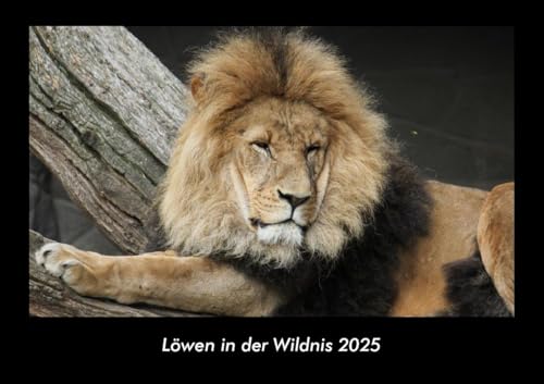 Löwen in der Wildnis 2025 Fotokalender DIN A3: Monatskalender mit Bild-Motiven von Haustieren, Bauernhof, wilden Tieren und Raubtieren Löwen in der Wildnis 2025 Fotokalender DIN A3: Monatskalender mit Bild-Motiven von Haustieren, Bauernhof, wilden Tieren und Raubtieren