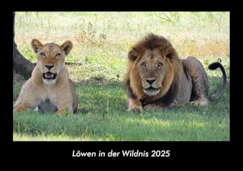Löwen in der Wildnis 2025 Fotokalender DIN A3: Monatskalender mit Bild-Motiven von Haustieren, Bauernhof, wilden Tieren und Raubtieren Löwen in der Wildnis 2025 Fotokalender DIN A3: Monatskalender mit Bild-Motiven von Haustieren, Bauernhof, wilden Tieren und Raubtieren