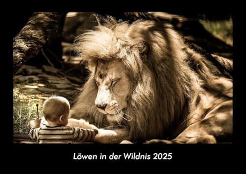 Löwen in der Wildnis 2025 Fotokalender DIN A3: Monatskalender mit Bild-Motiven von Haustieren, Bauernhof, wilden Tieren und Raubtieren von Vero Kalender