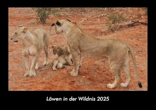 Löwen in der Wildnis 2025 Fotokalender DIN A3: Monatskalender mit Bild-Motiven von Haustieren, Bauernhof, wilden Tieren und Raubtieren Löwen in der Wildnis 2025 Fotokalender DIN A3: Monatskalender mit Bild-Motiven von Haustieren, Bauernhof, wilden Tieren und Raubtieren