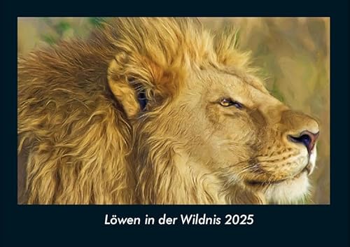 Löwen in der Wildnis 2025 Fotokalender DIN A4: Monatskalender mit Bild-Motiven aus Religion, Kirche, Ruhe und Heiligtum Löwen in der Wildnis 2025 Fotokalender DIN A4: Monatskalender mit Bild-Motiven aus Religion, Kirche, Ruhe und Heiligtum