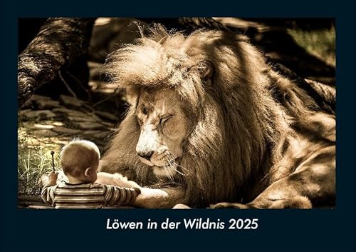 Löwen in der Wildnis 2025 Fotokalender DIN A4: Monatskalender mit Bild-Motiven von Haustieren, Bauernhof, wilden Tieren und Raubtieren Löwen in der Wildnis 2025 Fotokalender DIN A4: Monatskalender mit Bild-Motiven von Haustieren, Bauernhof, wilden Tieren und Raubtieren