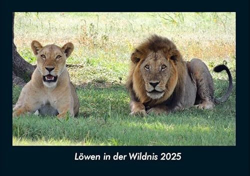 Löwen in der Wildnis 2025 Fotokalender DIN A4: Monatskalender mit Bild-Motiven von Haustieren, Bauernhof, wilden Tieren und Raubtieren Löwen in der Wildnis 2025 Fotokalender DIN A4: Monatskalender mit Bild-Motiven von Haustieren, Bauernhof, wilden Tieren und Raubtieren