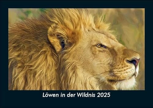 Löwen in der Wildnis 2025 Fotokalender DIN A5: Monatskalender mit Bild-Motiven aus Religion, Kirche, Ruhe und Heiligtum Löwen in der Wildnis 2025 Fotokalender DIN A5: Monatskalender mit Bild-Motiven aus Religion, Kirche, Ruhe und Heiligtum