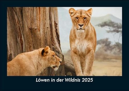 Löwen in der Wildnis 2025 Fotokalender DIN A5: Monatskalender mit Bild-Motiven von Haustieren, Bauernhof, wilden Tieren und Raubtieren Löwen in der Wildnis 2025 Fotokalender DIN A5: Monatskalender mit Bild-Motiven von Haustieren, Bauernhof, wilden Tieren und Raubtieren