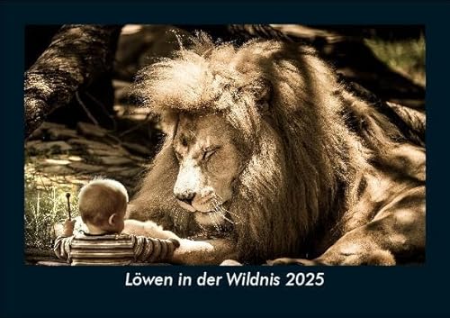 Löwen in der Wildnis 2025 Fotokalender DIN A5: Monatskalender mit Bild-Motiven von Haustieren, Bauernhof, wilden Tieren und Raubtieren Löwen in der Wildnis 2025 Fotokalender DIN A5: Monatskalender mit Bild-Motiven von Haustieren, Bauernhof, wilden Tieren und Raubtieren
