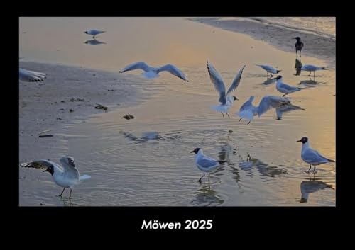 Möwen 2025 Fotokalender DIN A3: Monatskalender mit Bild-Motiven von Haustieren, Bauernhof, wilden Tieren und Raubtieren Möwen 2025 Fotokalender DIN A3: Monatskalender mit Bild-Motiven von Haustieren, Bauernhof, wilden Tieren und Raubtieren