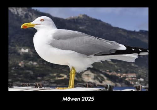 Möwen 2025 Fotokalender DIN A3: Monatskalender mit Bild-Motiven von Haustieren, Bauernhof, wilden Tieren und Raubtieren Möwen 2025 Fotokalender DIN A3: Monatskalender mit Bild-Motiven von Haustieren, Bauernhof, wilden Tieren und Raubtieren