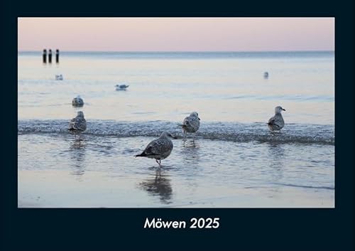 Möwen 2025 Fotokalender DIN A4: Monatskalender mit Bild-Motiven von Haustieren, Bauernhof, wilden Tieren und Raubtieren Möwen 2025 Fotokalender DIN A4: Monatskalender mit Bild-Motiven von Haustieren, Bauernhof, wilden Tieren und Raubtieren