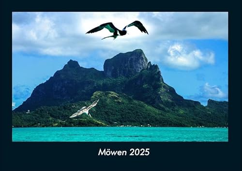 Möwen 2025 Fotokalender DIN A4: Monatskalender mit Bild-Motiven von Haustieren, Bauernhof, wilden Tieren und Raubtieren Möwen 2025 Fotokalender DIN A4: Monatskalender mit Bild-Motiven von Haustieren, Bauernhof, wilden Tieren und Raubtieren