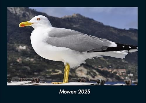 Möwen 2025 Fotokalender DIN A4: Monatskalender mit Bild-Motiven von Haustieren, Bauernhof, wilden Tieren und Raubtieren Möwen 2025 Fotokalender DIN A4: Monatskalender mit Bild-Motiven von Haustieren, Bauernhof, wilden Tieren und Raubtieren