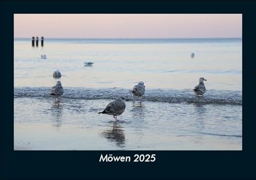 Möwen 2025 Fotokalender DIN A5: Monatskalender mit Bild-Motiven von Haustieren, Bauernhof, wilden Tieren und Raubtieren Möwen 2025 Fotokalender DIN A5: Monatskalender mit Bild-Motiven von Haustieren, Bauernhof, wilden Tieren und Raubtieren