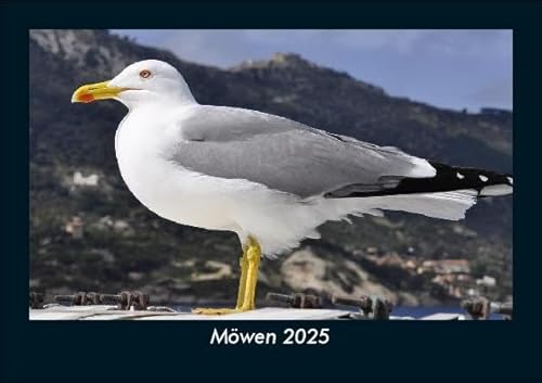 Möwen 2025 Fotokalender DIN A5: Monatskalender mit Bild-Motiven von Haustieren, Bauernhof, wilden Tieren und Raubtieren Möwen 2025 Fotokalender DIN A5: Monatskalender mit Bild-Motiven von Haustieren, Bauernhof, wilden Tieren und Raubtieren