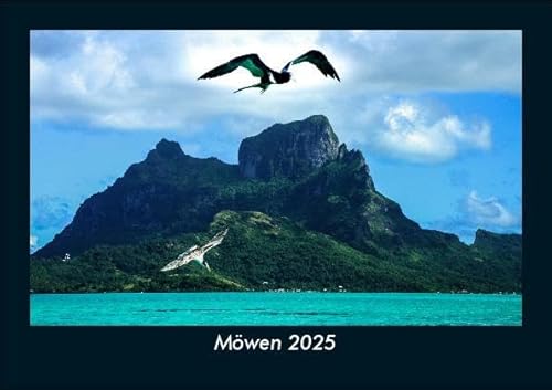 Möwen 2025 Fotokalender DIN A5: Monatskalender mit Bild-Motiven von Haustieren, Bauernhof, wilden Tieren und Raubtieren Möwen 2025 Fotokalender DIN A5: Monatskalender mit Bild-Motiven von Haustieren, Bauernhof, wilden Tieren und Raubtieren