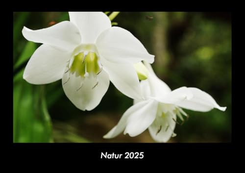 Natur 2025 Fotokalender DIN A3: Monatskalender mit Bild-Motiven aus Fauna und Flora, Natur, Blumen und Pflanzen Natur 2025 Fotokalender DIN A3: Monatskalender mit Bild-Motiven aus Fauna und Flora, Natur, Blumen und Pflanzen