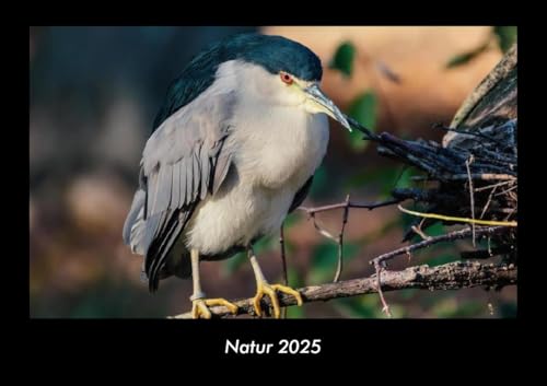 Natur 2025 Fotokalender DIN A3: Monatskalender mit Bild-Motiven aus Fauna und Flora, Natur, Blumen und Pflanzen Natur 2025 Fotokalender DIN A3: Monatskalender mit Bild-Motiven aus Fauna und Flora, Natur, Blumen und Pflanzen