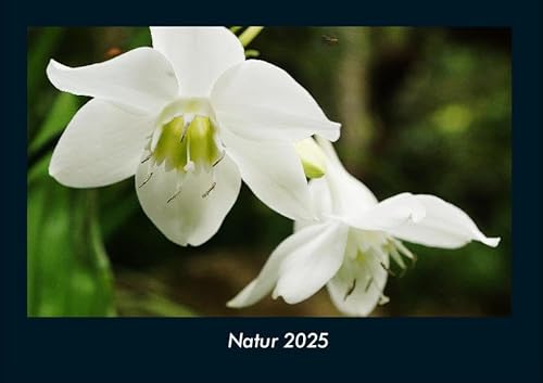 Natur 2025 Fotokalender DIN A4: Monatskalender mit Bild-Motiven aus Fauna und Flora, Natur, Blumen und Pflanzen Natur 2025 Fotokalender DIN A4: Monatskalender mit Bild-Motiven aus Fauna und Flora, Natur, Blumen und Pflanzen