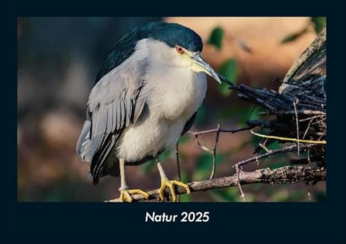 Natur 2025 Fotokalender DIN A4: Monatskalender mit Bild-Motiven aus Fauna und Flora, Natur, Blumen und Pflanzen Natur 2025 Fotokalender DIN A4: Monatskalender mit Bild-Motiven aus Fauna und Flora, Natur, Blumen und Pflanzen