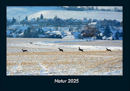 Natur 2025 Fotokalender DIN A4: Monatskalender mit Bild-Motiven aus Fauna und Flora, Natur, Blumen und Pflanzen Natur 2025 Fotokalender DIN A4: Monatskalender mit Bild-Motiven aus Fauna und Flora, Natur, Blumen und Pflanzen