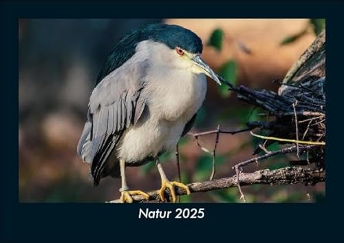 Natur 2025 Fotokalender DIN A5: Monatskalender mit Bild-Motiven aus Fauna und Flora, Natur, Blumen und Pflanzen Natur 2025 Fotokalender DIN A5: Monatskalender mit Bild-Motiven aus Fauna und Flora, Natur, Blumen und Pflanzen