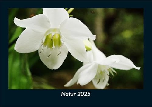 Natur 2025 Fotokalender DIN A5: Monatskalender mit Bild-Motiven aus Fauna und Flora, Natur, Blumen und Pflanzen Natur 2025 Fotokalender DIN A5: Monatskalender mit Bild-Motiven aus Fauna und Flora, Natur, Blumen und Pflanzen