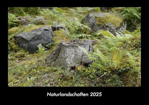 Naturlandschaften 2025 Fotokalender DIN A3: Monatskalender mit Bild-Motiven aus Fauna und Flora, Natur, Blumen und Pflanzen Naturlandschaften 2025 Fotokalender DIN A3: Monatskalender mit Bild-Motiven aus Fauna und Flora, Natur, Blumen und Pflanzen