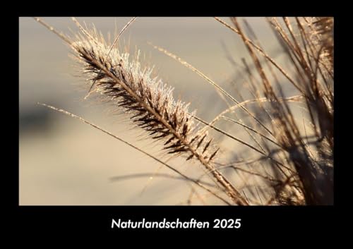 Naturlandschaften 2025 Fotokalender DIN A3: Monatskalender mit Bild-Motiven aus Fauna und Flora, Natur, Blumen und Pflanzen Naturlandschaften 2025 Fotokalender DIN A3: Monatskalender mit Bild-Motiven aus Fauna und Flora, Natur, Blumen und Pflanzen