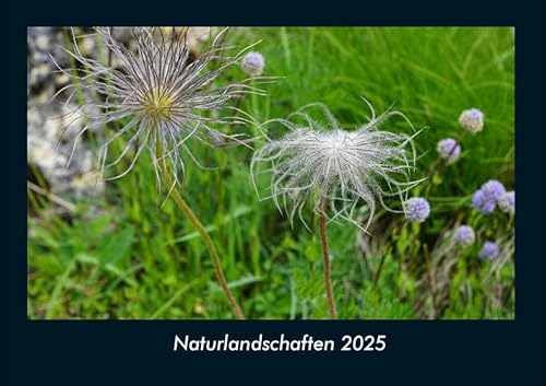 Naturlandschaften 2025 Fotokalender DIN A4: Monatskalender mit Bild-Motiven aus Fauna und Flora, Natur, Blumen und Pflanzen Naturlandschaften 2025 Fotokalender DIN A4: Monatskalender mit Bild-Motiven aus Fauna und Flora, Natur, Blumen und Pflanzen