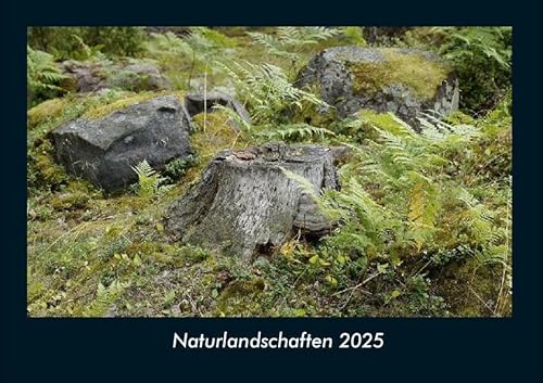 Naturlandschaften 2025 Fotokalender DIN A4: Monatskalender mit Bild-Motiven aus Fauna und Flora, Natur, Blumen und Pflanzen Naturlandschaften 2025 Fotokalender DIN A4: Monatskalender mit Bild-Motiven aus Fauna und Flora, Natur, Blumen und Pflanzen