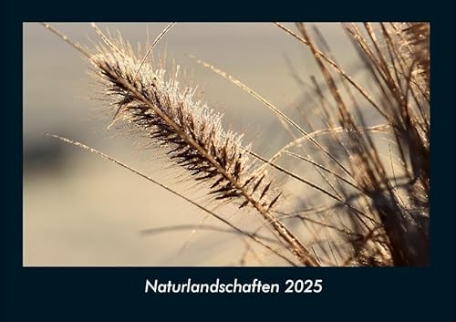 Naturlandschaften 2025 Fotokalender DIN A4: Monatskalender mit Bild-Motiven aus Fauna und Flora, Natur, Blumen und Pflanzen Naturlandschaften 2025 Fotokalender DIN A4: Monatskalender mit Bild-Motiven aus Fauna und Flora, Natur, Blumen und Pflanzen