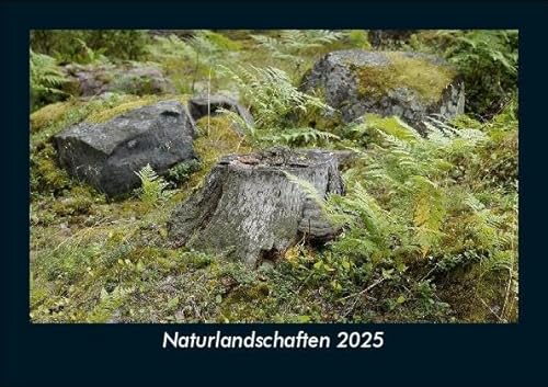 Naturlandschaften 2025 Fotokalender DIN A5: Monatskalender mit Bild-Motiven aus Fauna und Flora, Natur, Blumen und Pflanzen Naturlandschaften 2025 Fotokalender DIN A5: Monatskalender mit Bild-Motiven aus Fauna und Flora, Natur, Blumen und Pflanzen