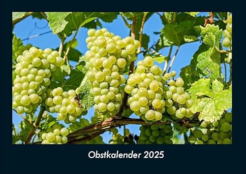 Obstkalender 2025 Fotokalender DIN A4: Monatskalender mit Bild-Motiven von Obst und Gemüse, Ernährung und Essen Obstkalender 2025 Fotokalender DIN A4: Monatskalender mit Bild-Motiven von Obst und Gemüse, Ernährung und Essen