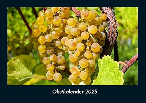 Obstkalender 2025 Fotokalender DIN A4: Monatskalender mit Bild-Motiven von Obst und Gemüse, Ernährung und Essen Obstkalender 2025 Fotokalender DIN A4: Monatskalender mit Bild-Motiven von Obst und Gemüse, Ernährung und Essen