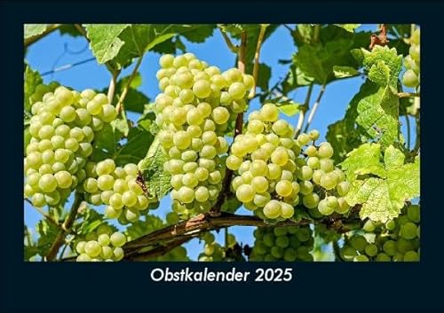 Obstkalender 2025 Fotokalender DIN A5: Monatskalender mit Bild-Motiven von Obst und Gemüse, Ernährung und Essen Obstkalender 2025 Fotokalender DIN A5: Monatskalender mit Bild-Motiven von Obst und Gemüse, Ernährung und Essen
