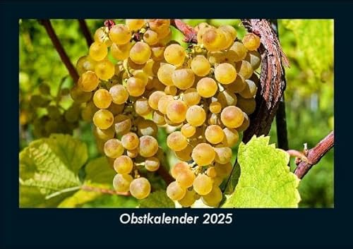 Obstkalender 2025 Fotokalender DIN A5: Monatskalender mit Bild-Motiven von Obst und Gemüse, Ernährung und Essen Obstkalender 2025 Fotokalender DIN A5: Monatskalender mit Bild-Motiven von Obst und Gemüse, Ernährung und Essen