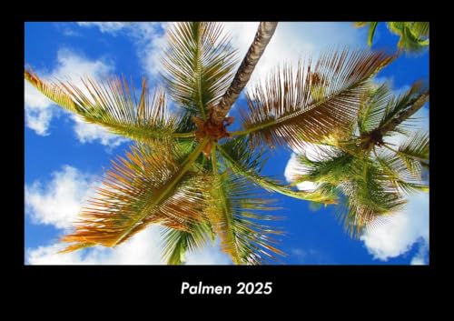 Palmen 2025 Fotokalender DIN A3: Monatskalender mit Bild-Motiven aus Fauna und Flora, Natur, Blumen und Pflanzen Palmen 2025 Fotokalender DIN A3: Monatskalender mit Bild-Motiven aus Fauna und Flora, Natur, Blumen und Pflanzen