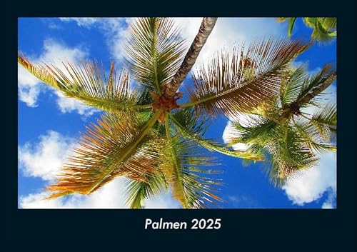 Palmen 2025 Fotokalender DIN A4: Monatskalender mit Bild-Motiven aus Fauna und Flora, Natur, Blumen und Pflanzen Palmen 2025 Fotokalender DIN A4: Monatskalender mit Bild-Motiven aus Fauna und Flora, Natur, Blumen und Pflanzen
