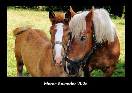 Pferde Kalender 2025 Fotokalender DIN A3: Monatskalender mit Bild-Motiven von Haustieren, Bauernhof, wilden Tieren und Raubtieren Pferde Kalender 2025 Fotokalender DIN A3: Monatskalender mit Bild-Motiven von Haustieren, Bauernhof, wilden Tieren und Raubtieren