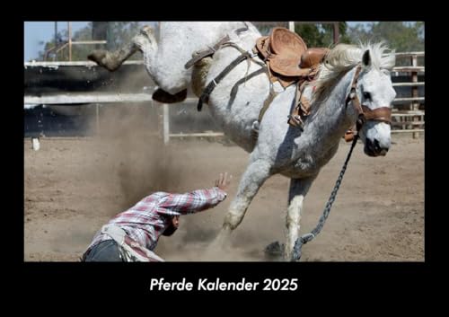 Pferde Kalender 2025 Fotokalender DIN A3: Monatskalender mit Bild-Motiven von Haustieren, Bauernhof, wilden Tieren und Raubtieren Pferde Kalender 2025 Fotokalender DIN A3: Monatskalender mit Bild-Motiven von Haustieren, Bauernhof, wilden Tieren und Raubtieren