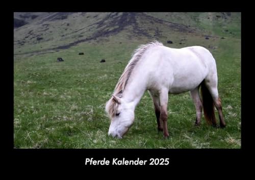 Pferde Kalender 2025 Fotokalender DIN A3: Monatskalender mit Bild-Motiven von Haustieren, Bauernhof, wilden Tieren und Raubtieren Pferde Kalender 2025 Fotokalender DIN A3: Monatskalender mit Bild-Motiven von Haustieren, Bauernhof, wilden Tieren und Raubtieren