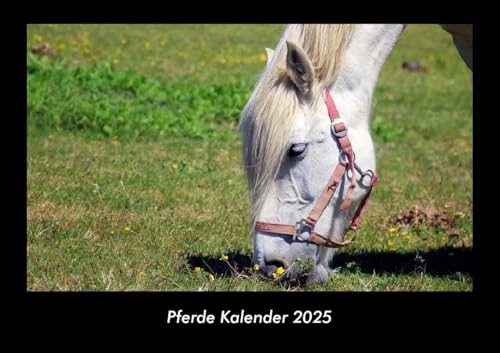 Pferde Kalender 2025 Fotokalender DIN A3: Monatskalender mit Bild-Motiven von Haustieren, Bauernhof, wilden Tieren und Raubtieren Pferde Kalender 2025 Fotokalender DIN A3: Monatskalender mit Bild-Motiven von Haustieren, Bauernhof, wilden Tieren und Raubtieren