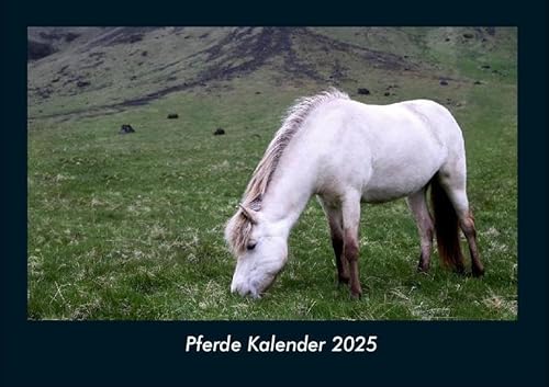 Pferde Kalender 2025 Fotokalender DIN A4: Monatskalender mit Bild-Motiven von Haustieren, Bauernhof, wilden Tieren und Raubtieren Pferde Kalender 2025 Fotokalender DIN A4: Monatskalender mit Bild-Motiven von Haustieren, Bauernhof, wilden Tieren und Raubtieren