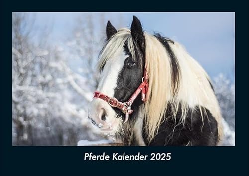 Pferde Kalender 2025 Fotokalender DIN A4: Monatskalender mit Bild-Motiven von Haustieren, Bauernhof, wilden Tieren und Raubtieren Pferde Kalender 2025 Fotokalender DIN A4: Monatskalender mit Bild-Motiven von Haustieren, Bauernhof, wilden Tieren und Raubtieren