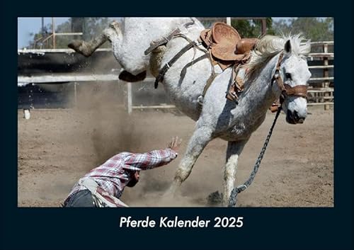Pferde Kalender 2025 Fotokalender DIN A4: Monatskalender mit Bild-Motiven von Haustieren, Bauernhof, wilden Tieren und Raubtieren Pferde Kalender 2025 Fotokalender DIN A4: Monatskalender mit Bild-Motiven von Haustieren, Bauernhof, wilden Tieren und Raubtieren